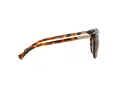 Ralph Gafas de Sol RA 5207 150613