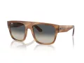 Ray-Ban Drifter Gafas de Sol RB 0360S 140371