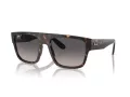 Ray-Ban Drifter Gafas de Sol RB 0360S 902/M3