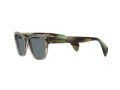 Ray-Ban Gafas de Sol RB 0880S 6635/3R_52