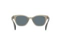 Ray-Ban Gafas de Sol RB 0880S 6635/3R_52