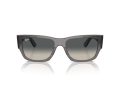 Ray-Ban Carlos Gafas de Sol RB 0947S 667571
