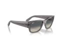 Ray-Ban Carlos Gafas de Sol RB 0947S 667571