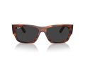 Ray-Ban Carlos Gafas de Sol RB 0947S 954/48