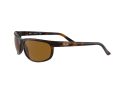 Ray-Ban Predator 2 Gafas de Sol RB 2027 6508/33