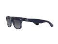 Ray-Ban New Wayfarer Gafas de Sol RB 2132 6607/78