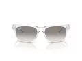 Ray-Ban New Wayfarer Gafas de Sol RB 2132 677432