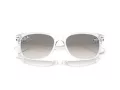 Ray-Ban New Wayfarer Gafas de Sol RB 2132 677432