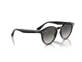 Ray-Ban Gafas de Sol RB 2180 601/11