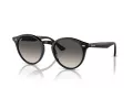 Ray-Ban Gafas de Sol RB 2180 601/11