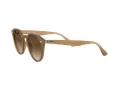 Ray-Ban Gafas de Sol RB 2180 616613