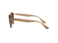Ray-Ban Gafas de Sol RB 2180 616613