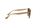 Ray-Ban Gafas de Sol RB 2180 616613