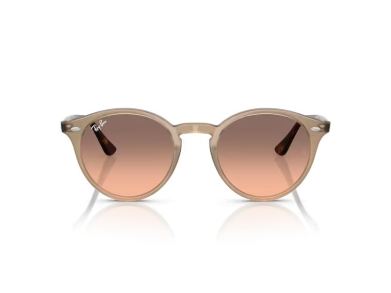 Ray-Ban Gafas de Sol RB 2180 678846