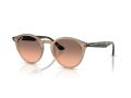 Ray-Ban Gafas de Sol RB 2180 678846