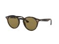Ray-Ban Gafas de Sol 2180 710/73