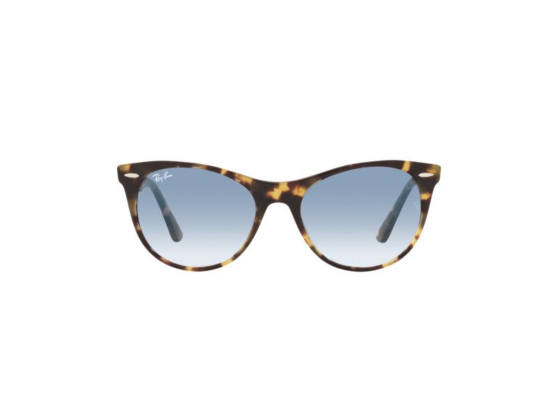 Ray-Ban Wayfarer Ii Gafas de Sol RB 2185 1332/3F