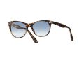 Ray-Ban Wayfarer Ii Gafas de Sol RB 2185 1332/3F_52