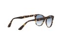 Ray-Ban Wayfarer Ii Gafas de Sol RB 2185 1332/3F_52