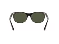 Ray-Ban Wayfarer Ii Gafas de Sol RB 2185 902/31_52