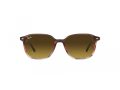 Ray-Ban Leonard Gafas de Sol RB 2193 138085_55