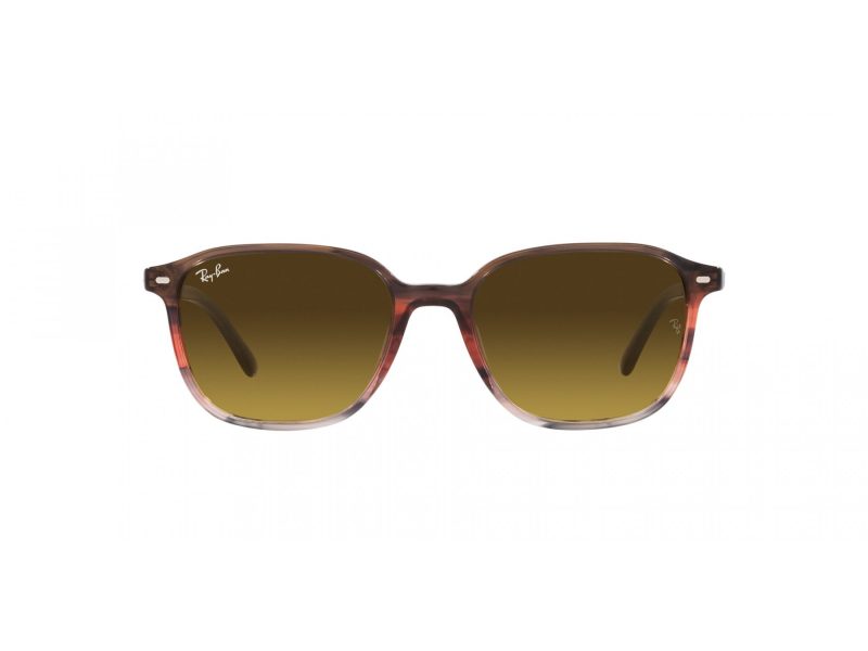 Ray-Ban Leonard Gafas de Sol RB 2193 138085_55