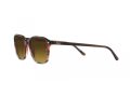 Ray-Ban Leonard Gafas de Sol RB 2193 138085_55