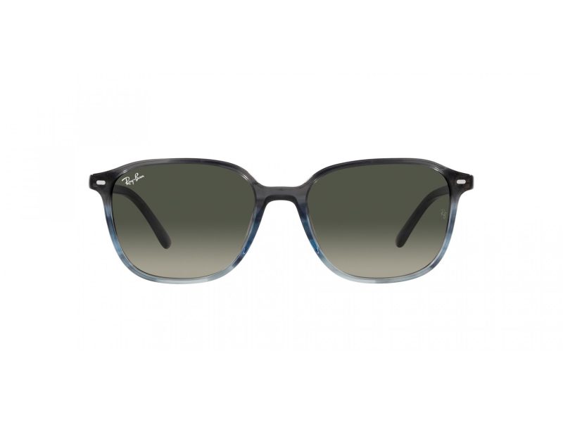 Ray-Ban Leonard Gafas de Sol RB 2193 138171