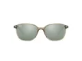 Ray-Ban Leonard Gafas de Sol RB 2193 66355C