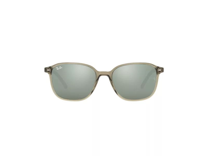 Ray-Ban Leonard Gafas de Sol RB 2193 66355C