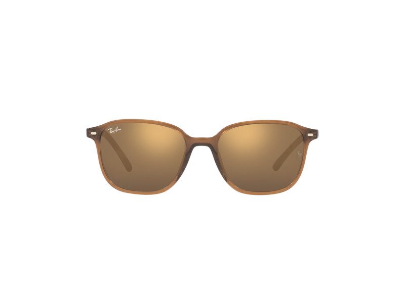 Ray-Ban Leonard Gafas de Sol RB 2193 6636/93