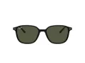 Ray-Ban Leonard Gafas de Sol RB 2193 901/31_53