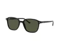 Ray-Ban Leonard Gafas de Sol RB 2193 901/31_53