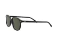 Ray-Ban Leonard Gafas de Sol RB 2193 901/31_53