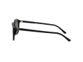 Ray-Ban Leonard Gafas de Sol RB 2193 901/31_53