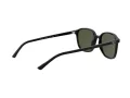 Ray-Ban Leonard Gafas de Sol RB 2193 901/31_53