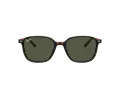 Ray-Ban Leonard Gafas de Sol RB 2193 902/31_51