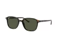 Ray-Ban Leonard Gafas de Sol RB 2193 902/31_51