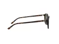 Ray-Ban Leonard Gafas de Sol RB 2193 902/31_51