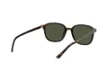 Ray-Ban Leonard Gafas de Sol RB 2193 902/31_53