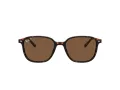 Ray-Ban Leonard Gafas de Sol RB 2193 902/57
