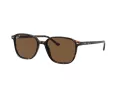 Ray-Ban Leonard Gafas de Sol RB 2193 902/57