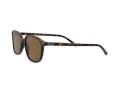 Ray-Ban Leonard Gafas de Sol RB 2193 902/57