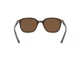 Ray-Ban Leonard Gafas de Sol RB 2193 902/57