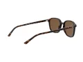 Ray-Ban Leonard Gafas de Sol RB 2193 902/57