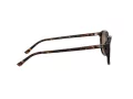 Ray-Ban Leonard Gafas de Sol RB 2193 902/57