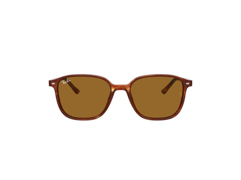 Ray-Ban Leonard RB 2193 954/33 51 Gafas de sol
