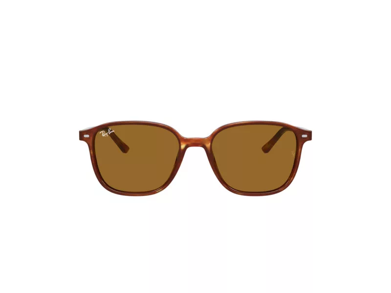Ray-Ban Leonard Gafas de Sol RB 2193 954/33