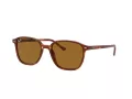 Ray-Ban Leonard Gafas de Sol RB 2193 954/33