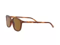 Ray-Ban Leonard Gafas de Sol RB 2193 954/33